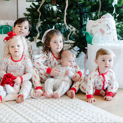Holiday Floral Stripe Zipper Onesie